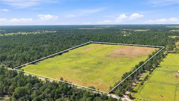 14231 SE 80TH ST, Morriston, FL 32668