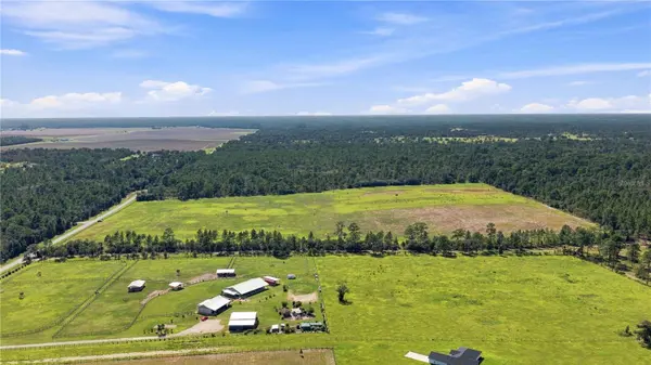 14231 SE 80TH ST, Morriston, FL 32668