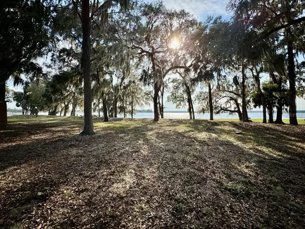 25225 NE 141ST LN NE, Salt Springs, FL 32134