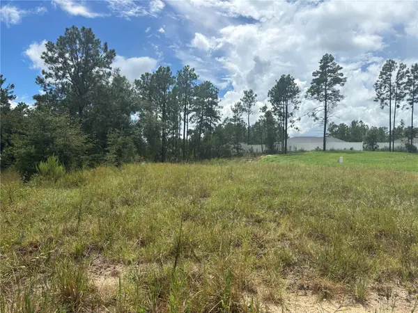 12828 SW 86 CIR, Ocala, FL 34473