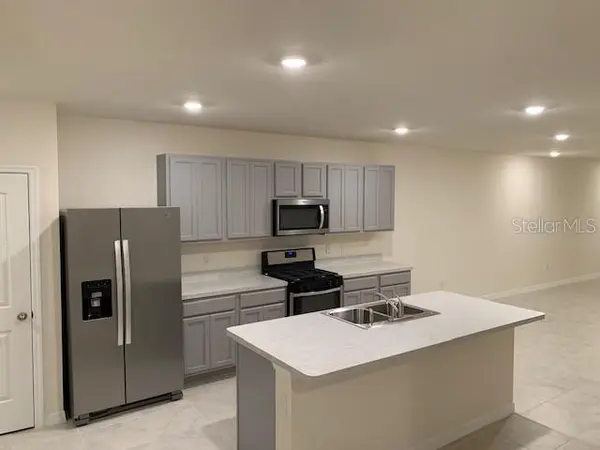 20007 ROYAL TERN CT, Leesburg, FL 34748