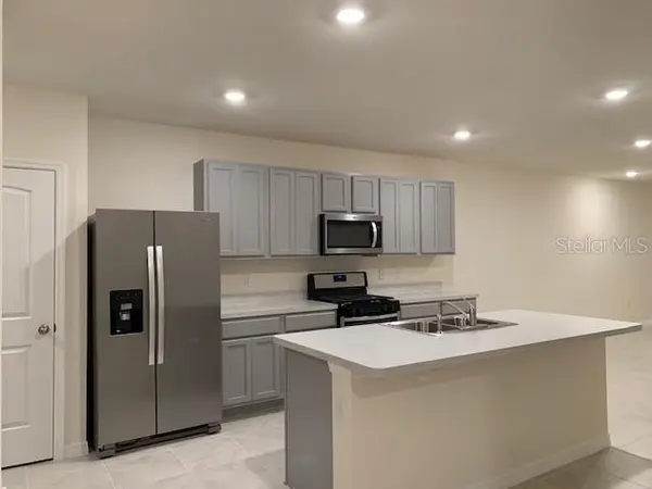 20007 ROYAL TERN CT, Leesburg, FL 34748