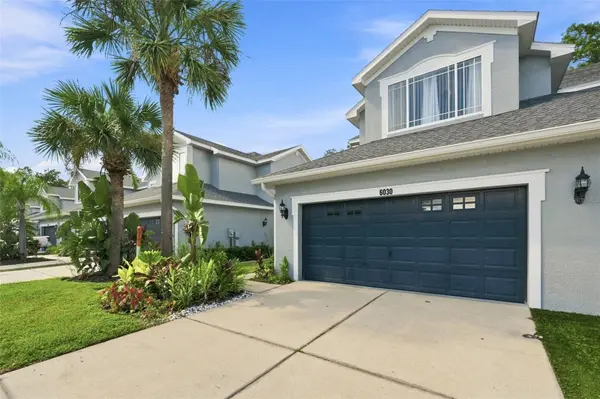 6030 PARKSIDE MEADOW DR, Tampa, FL 33625