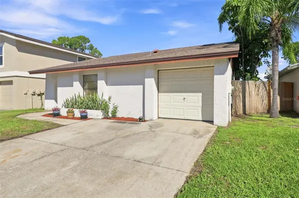 10311 CHADBOURNE DR, Tampa, FL 33624
