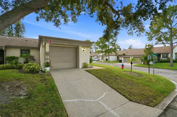 3207 GREEN DOLPHIN ST, Tarpon Springs, FL 34689