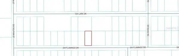 19801 FLAMINGO DR, Dunnellon, FL 34431