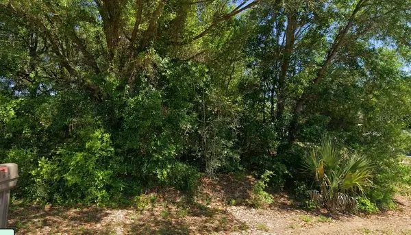 19801 FLAMINGO DR, Dunnellon, FL 34431