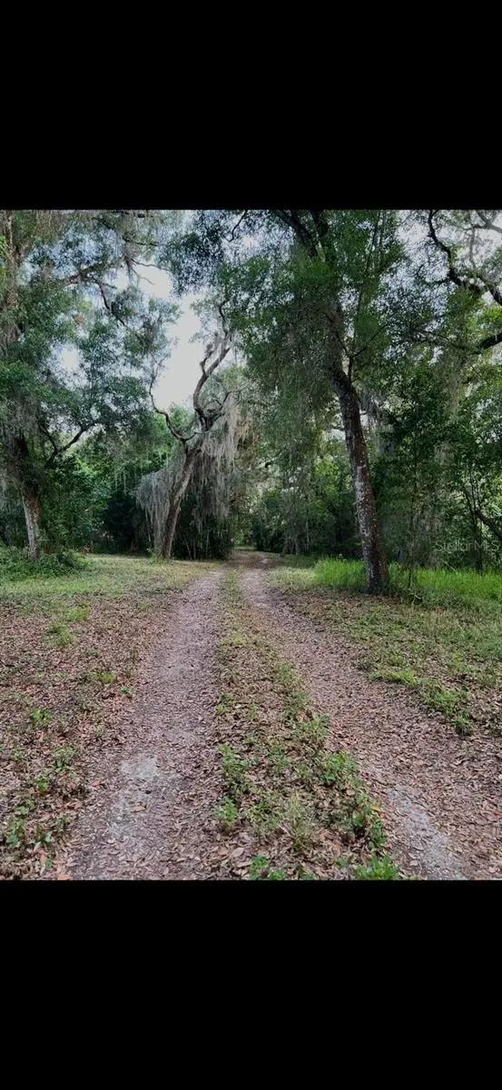 20231 PAINTER PLACE PL, Spring Hill, FL 34610