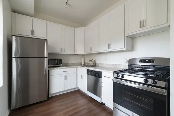 3751 N Halsted ST #315, Chicago, IL 60613