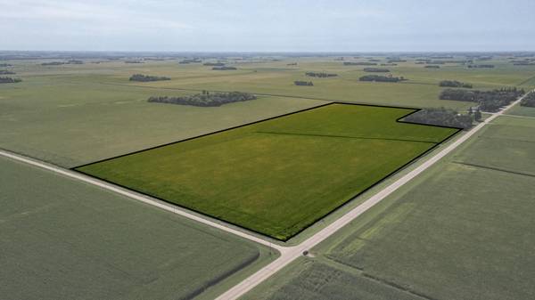TBD mower/freeborn rd, Blooming Prairie, MN 55917