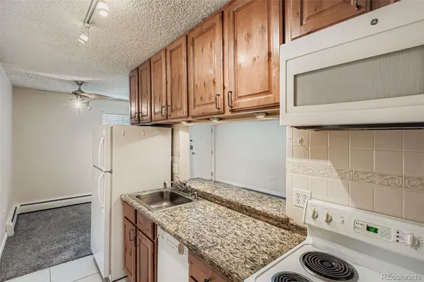 1045 N Pennsylvania ST #703, Denver, CO 80203