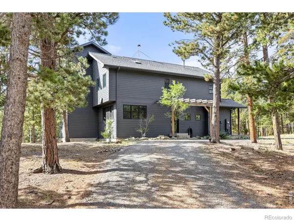 25 Shoshoni WAY, Nederland, CO 80466