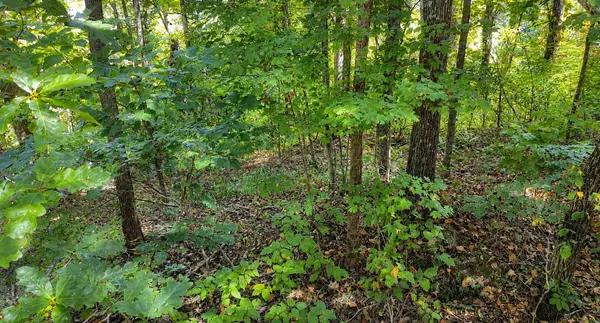 33 Swiper Dr, Smithville, TN 37166