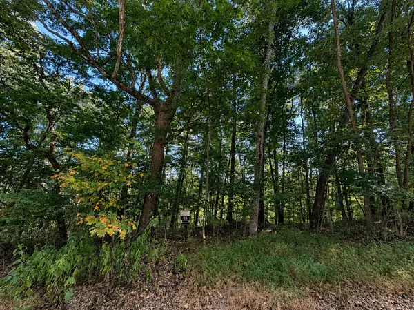 33 Swiper Dr, Smithville, TN 37166