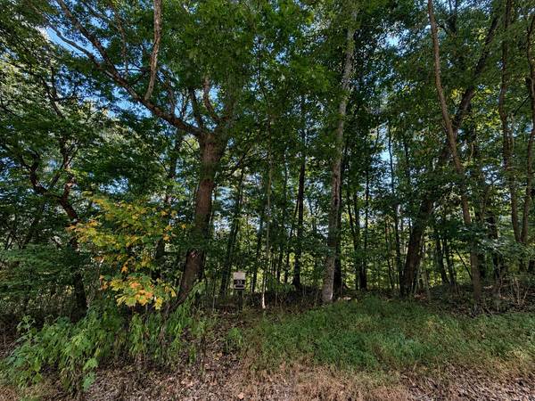 33 Swiper Dr, Smithville, TN 37166