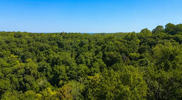 33 Swiper Dr, Smithville, TN 37166