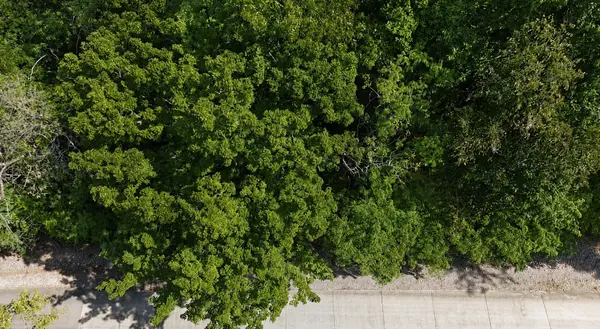 33 Swiper Dr, Smithville, TN 37166