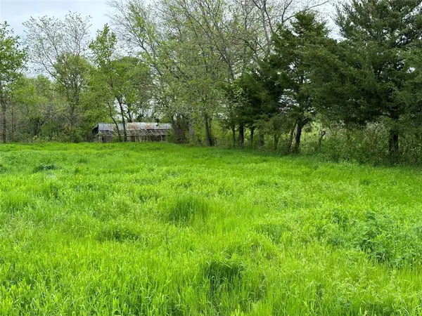 Tract 3 FM 2194, Greenville, TX 75401