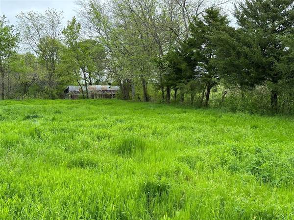 Tract 3 FM 2194, Greenville, TX 75401