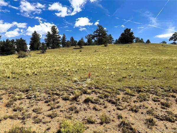 2669 Settele, Hartsel, CO 80449