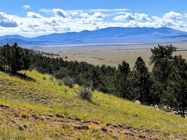 2669 Settele, Hartsel, CO 80449