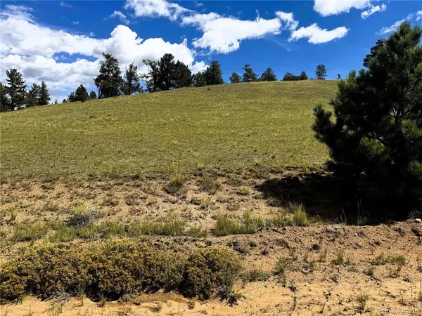 2669 Settele, Hartsel, CO 80449