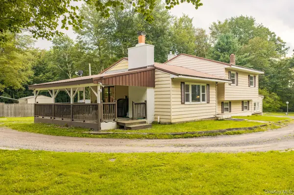 70 Park Hill RD, Mountain Dale, NY 12763