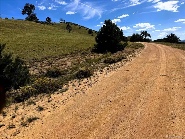 2669 Settele DR, Hartsel, CO 80449