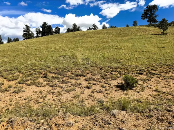 2669 Settele DR, Hartsel, CO 80449