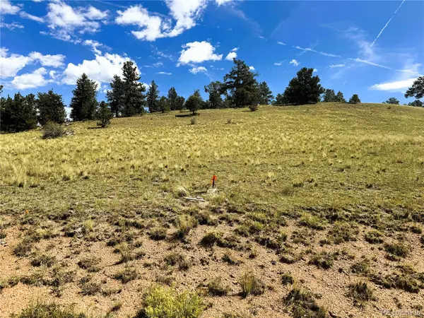 2669 Settele DR, Hartsel, CO 80449