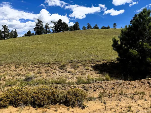 2669 Settele DR, Hartsel, CO 80449
