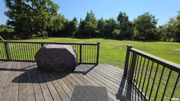 13256 Cruse RD, Carterville, IL 62918
