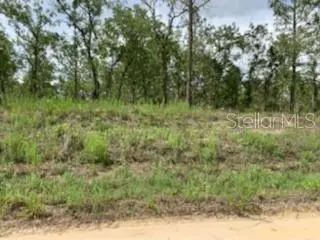 00 SW 64TH ST, Ocala, FL 34481
