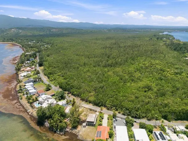 PR-968 Km 2.1, Las Picúas CAMINO LAS PICUAS, Rio Grande, PR 00745