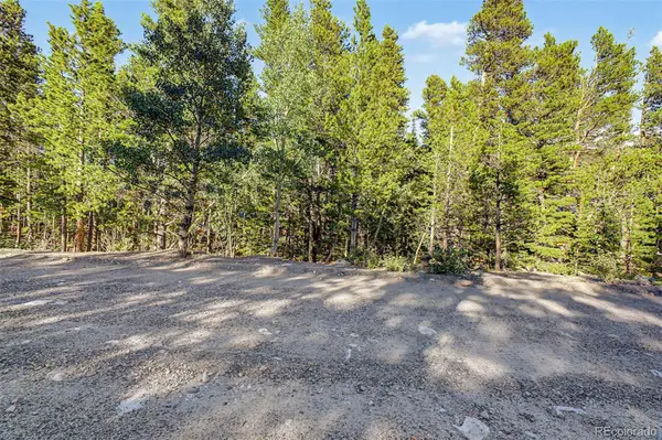Elk RD, Idaho Springs, CO 80452