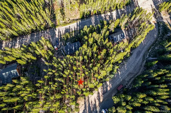 Elk RD, Idaho Springs, CO 80452