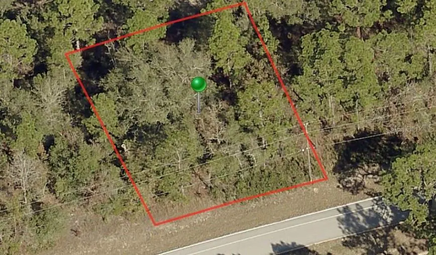 9234 N CITRUS SPRINGS BLVD, Citrus Springs, FL 34433