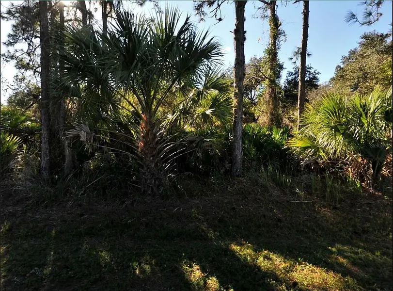 LOT 17 RUIZ ST, North Port, FL 34286
