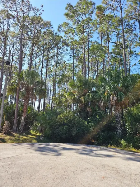 12 RAMSGATE PL, Palm Coast, FL 32164