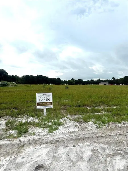 38521 WOODED MEADOW DR, Umatilla, FL 32784