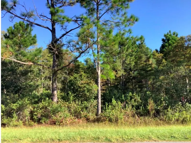 RALSTON ST, Orlando, FL 32833