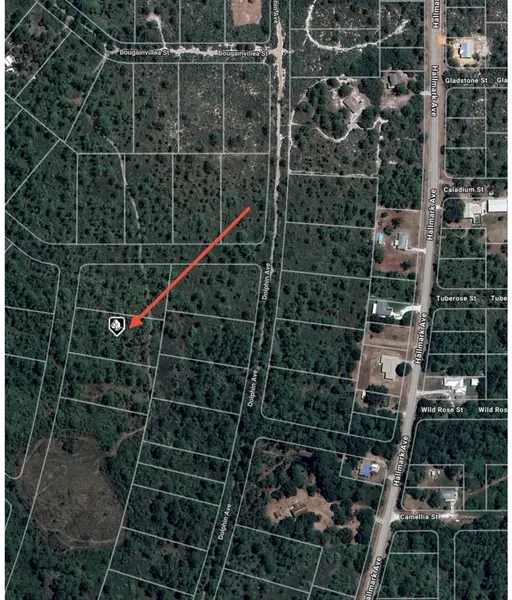 745 MARLIN ST, Lake Placid, FL 33852