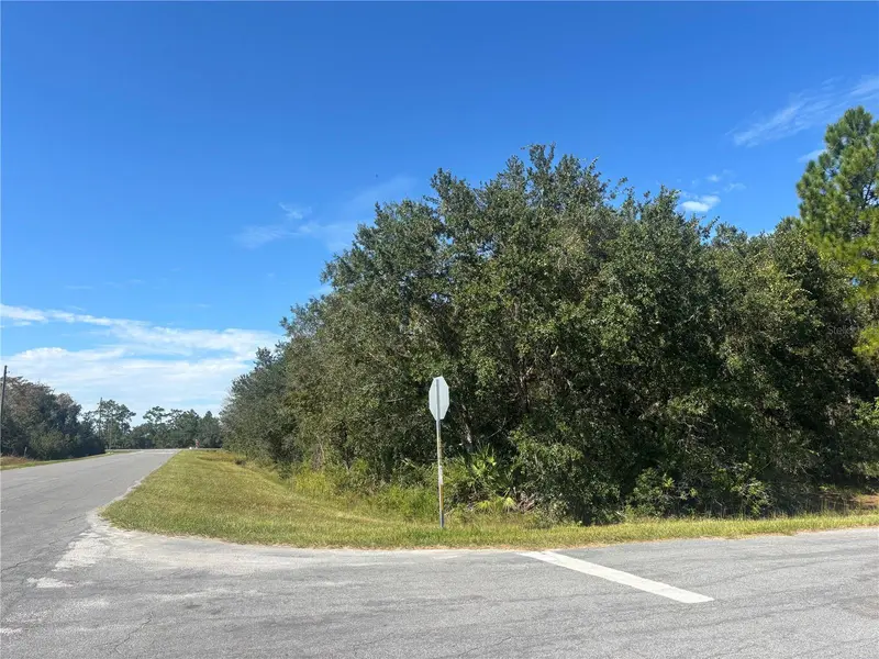CORONET AVE, Orlando, FL 32833