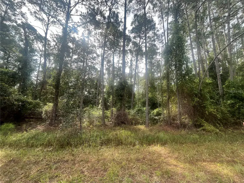 223 SE 2ND ST, Georgetown, FL 32139
