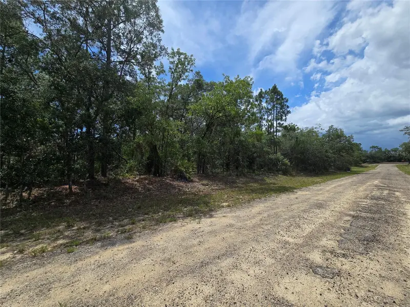 6468 N BAYLOR TER, Dunnellon, FL 34433
