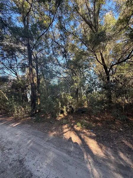 SW 148TH CT 32ND PL, Ocala, FL 34481