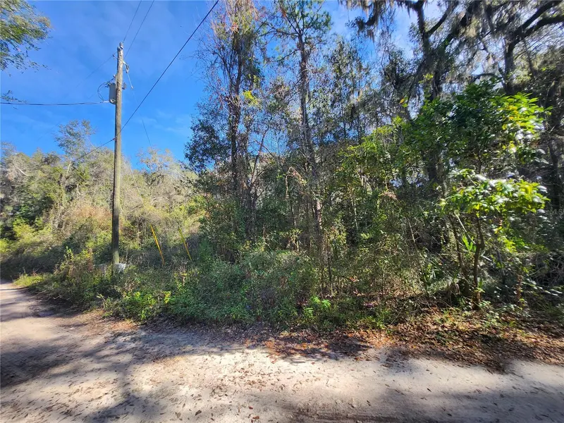 TBD NE 164TH PL, Citra, FL 32113