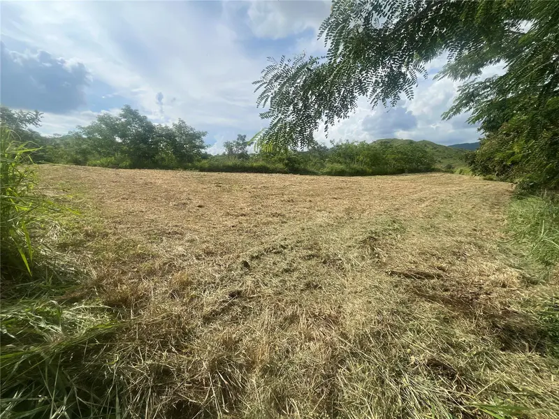 KM HM 17.7 CARR 150, Coamo, PR 00769