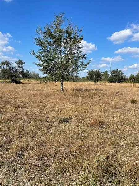 HAMMERMILL AVE, Lake Wales, FL 33859