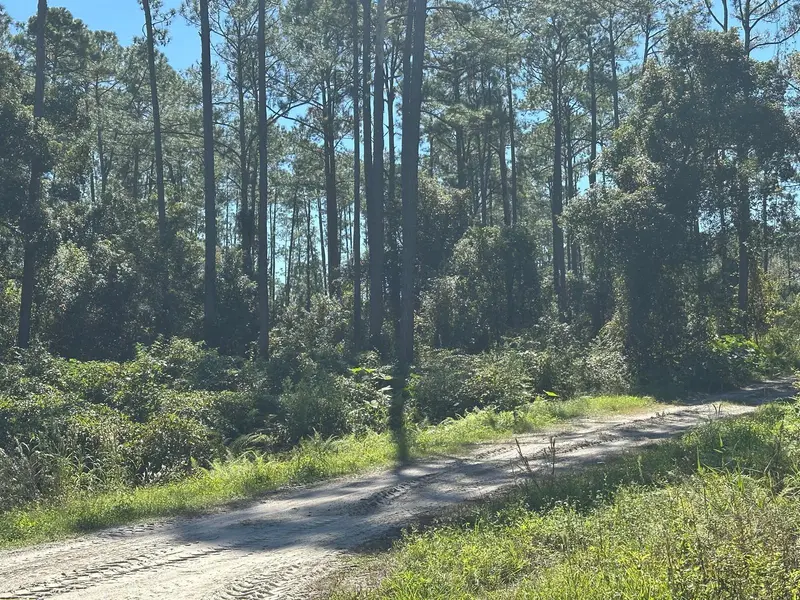 11TH AVE, Deland, FL 32724